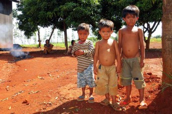 Cambodian Boys 