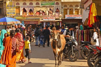 The colorful streets of Pushkar