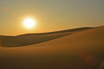 Desert around Jaisalmer 