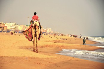 At the beach of Puri