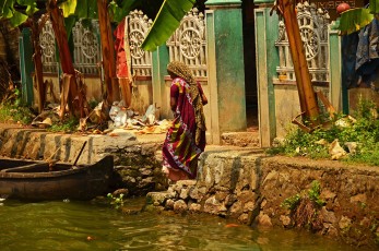 Life in Kerala's backwaters - No. 2