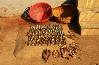 Dried fish in the streets of Kanyakumari