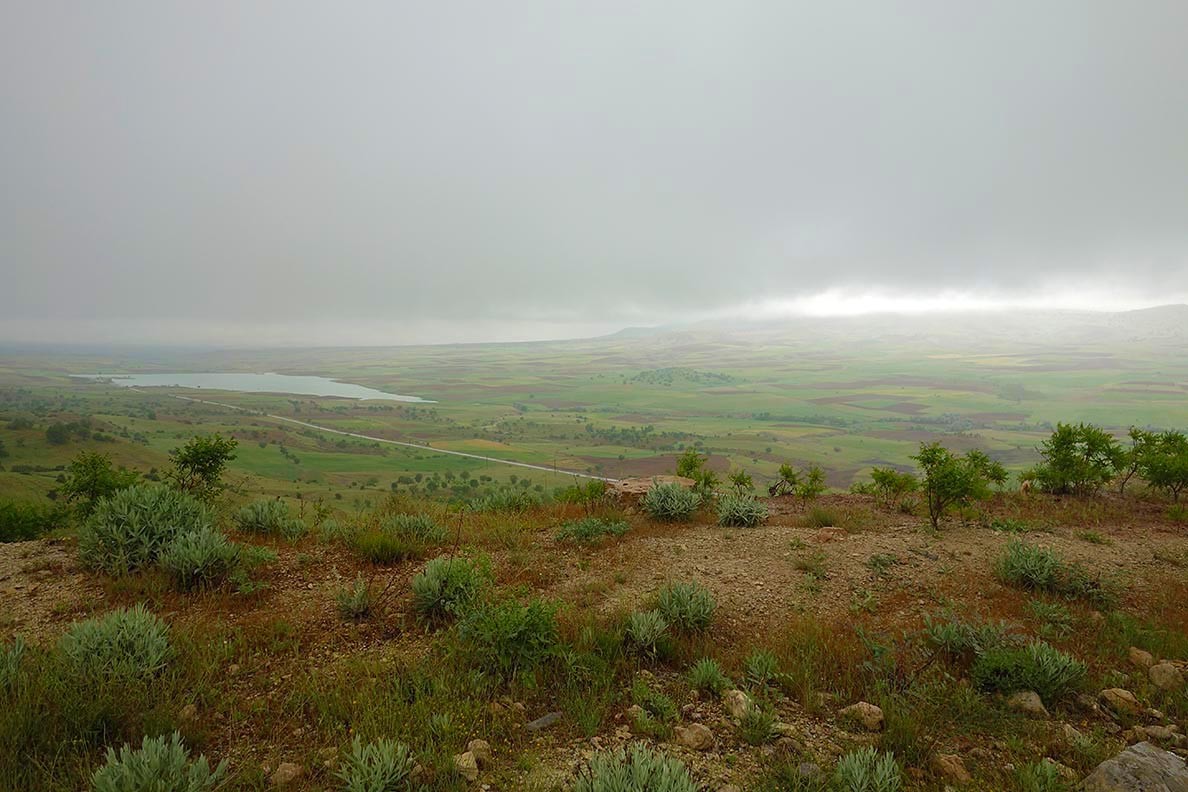 Rainy Mesopotamia