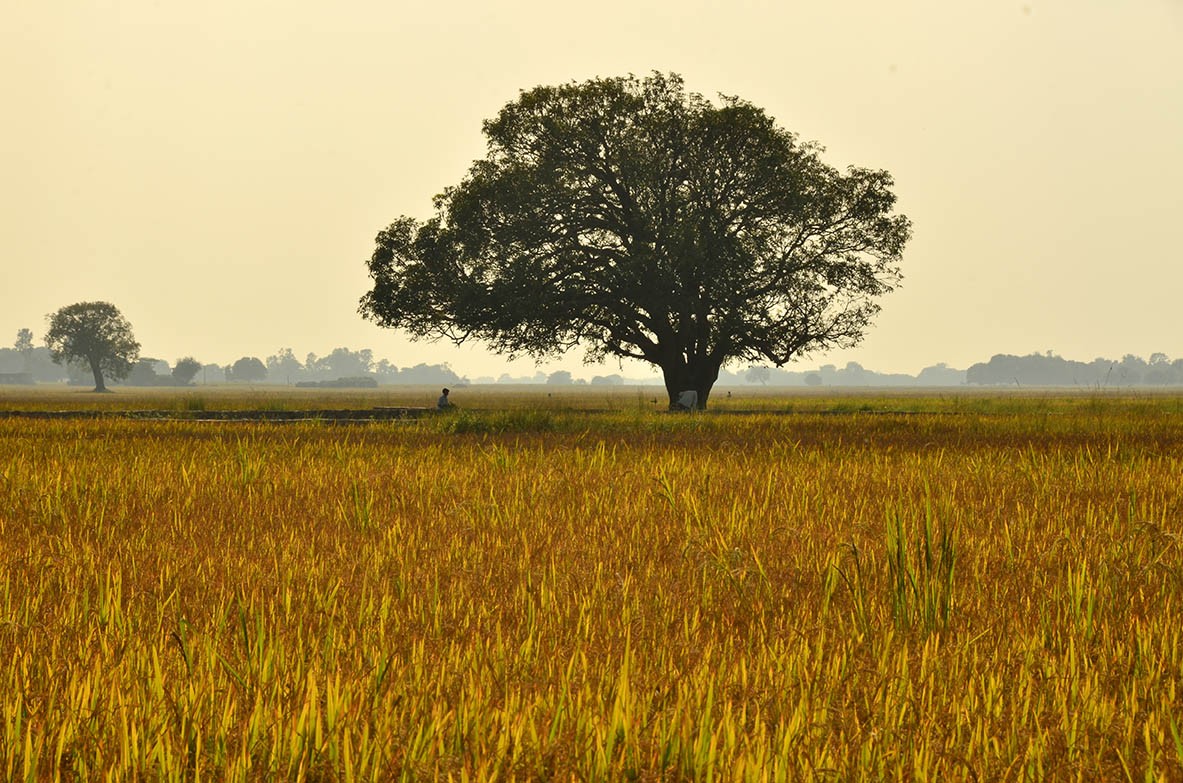 Around Lumbini, birthplace of Lord Buddha