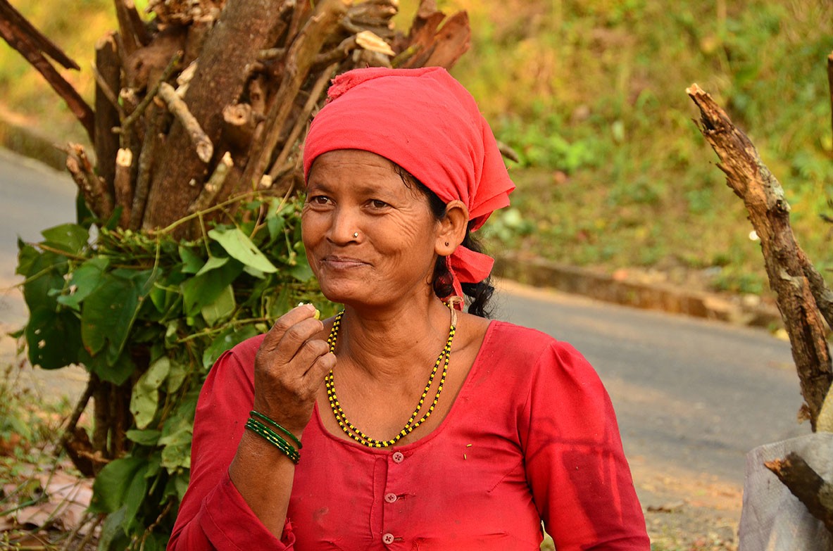 Local women collecting wood from the forest