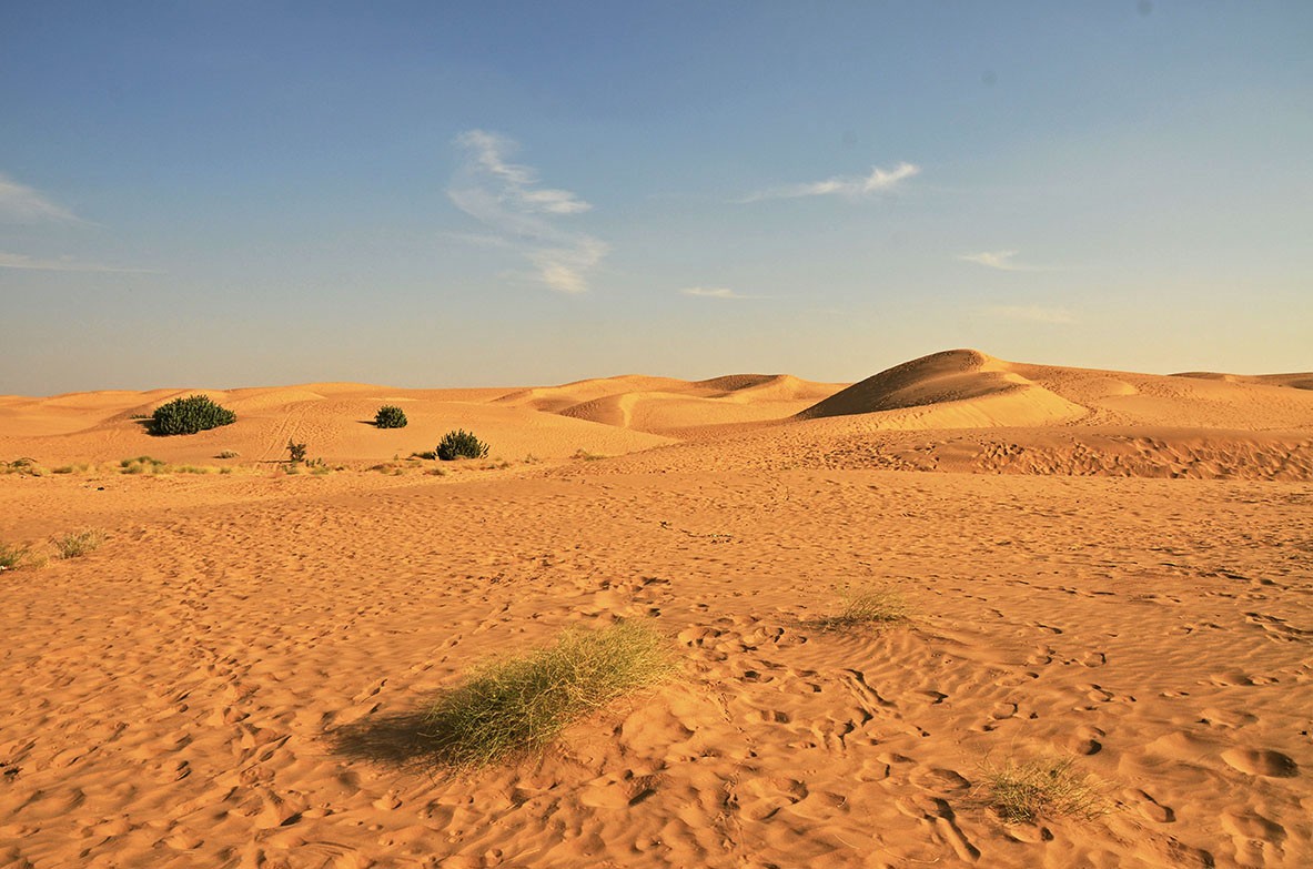 Sam Sand Dunes (Jaisalmer)