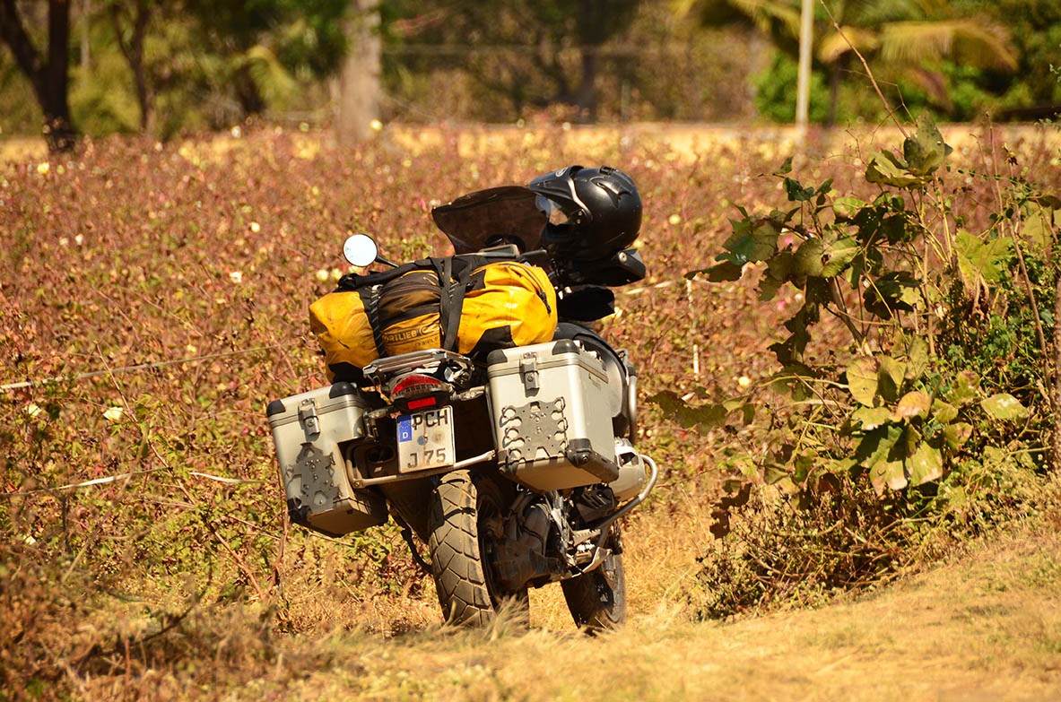 On my way to Dandeli