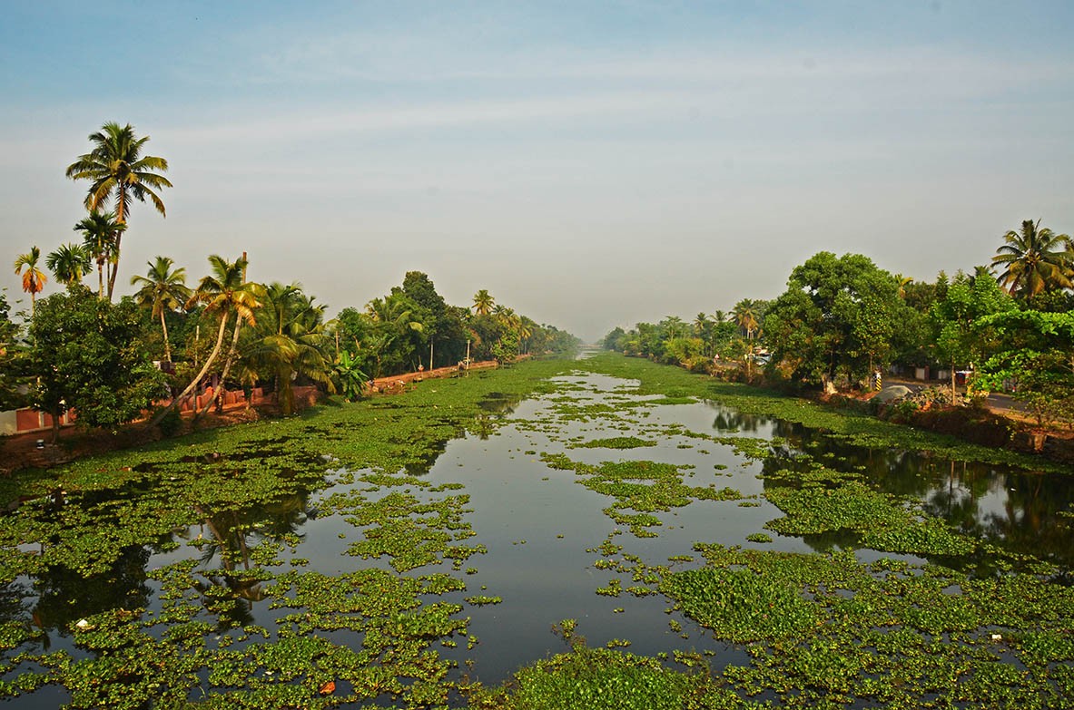 The backwaters of Kerala