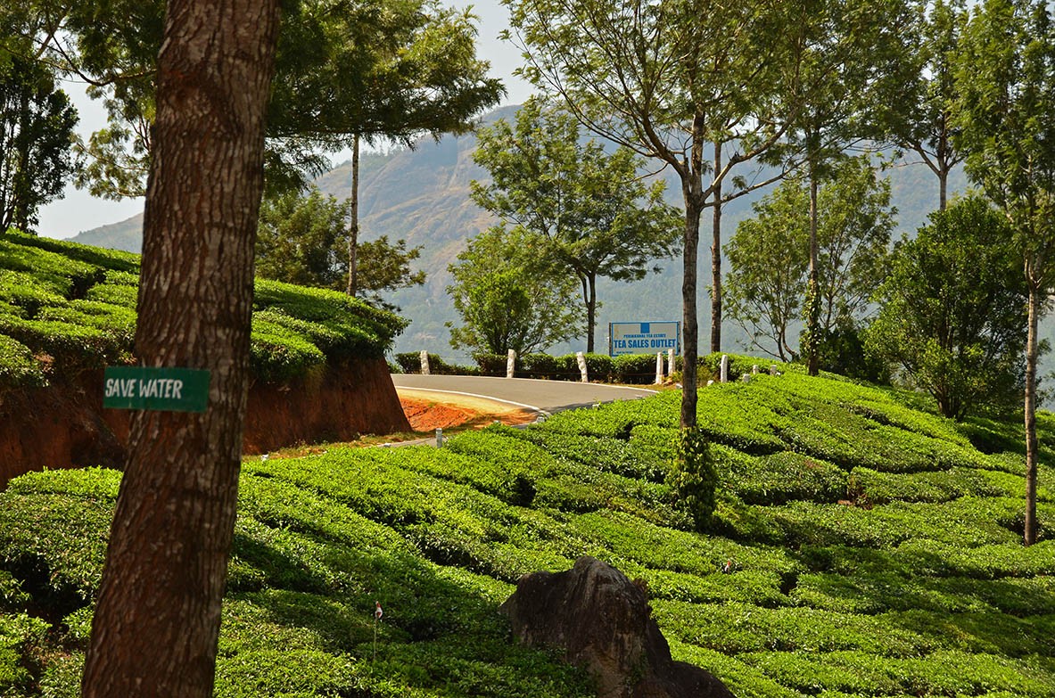 Getting closer to Munnar