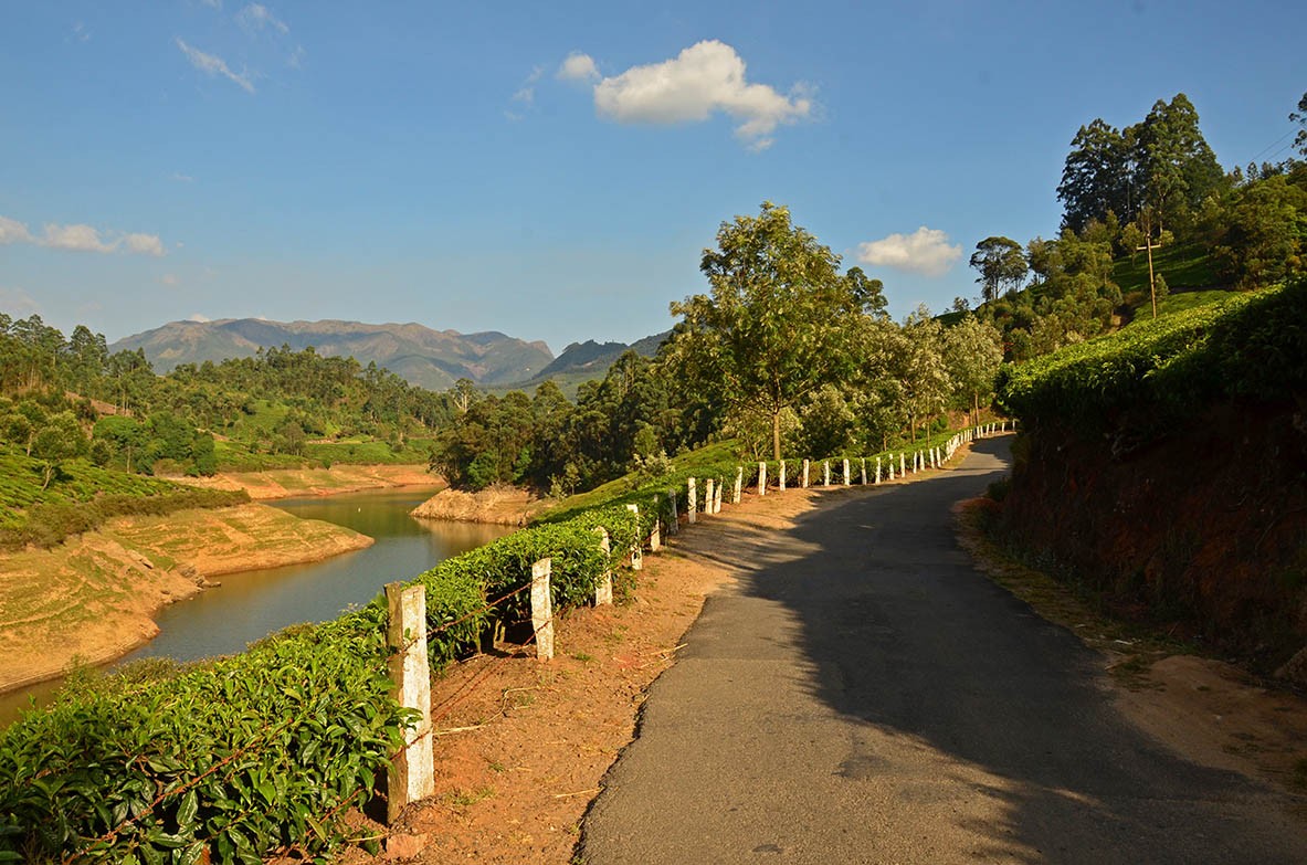 Around Munnar