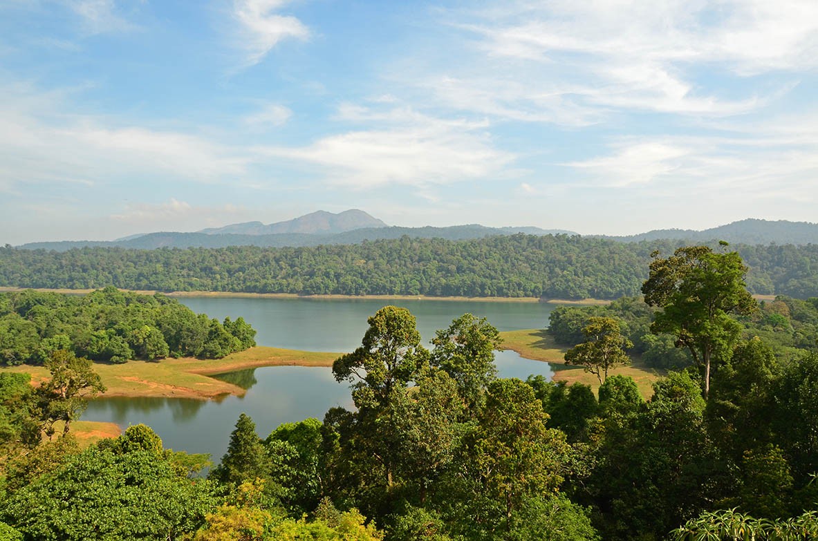Wildlife Sanctuary in the South of India