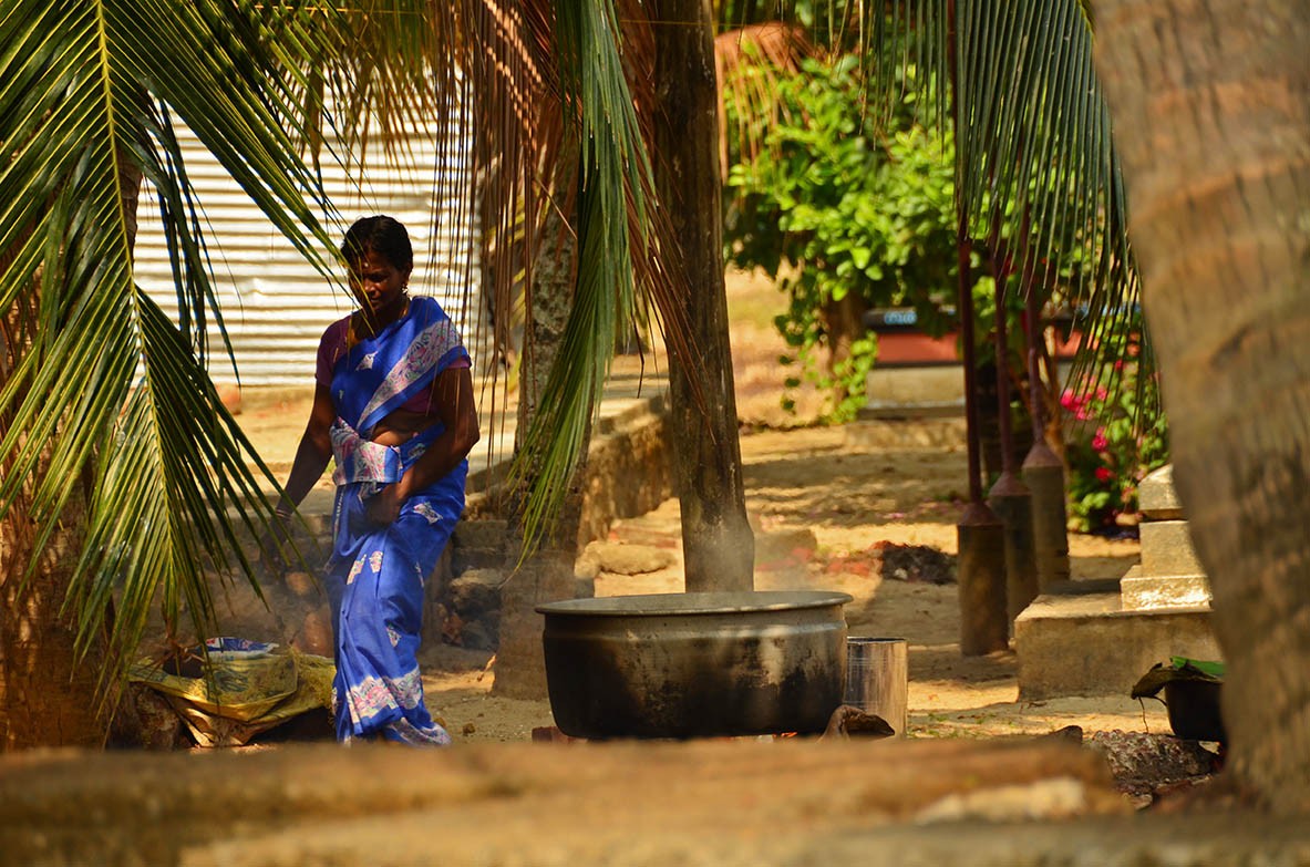 Life in Kerala's backwaters - No. 6