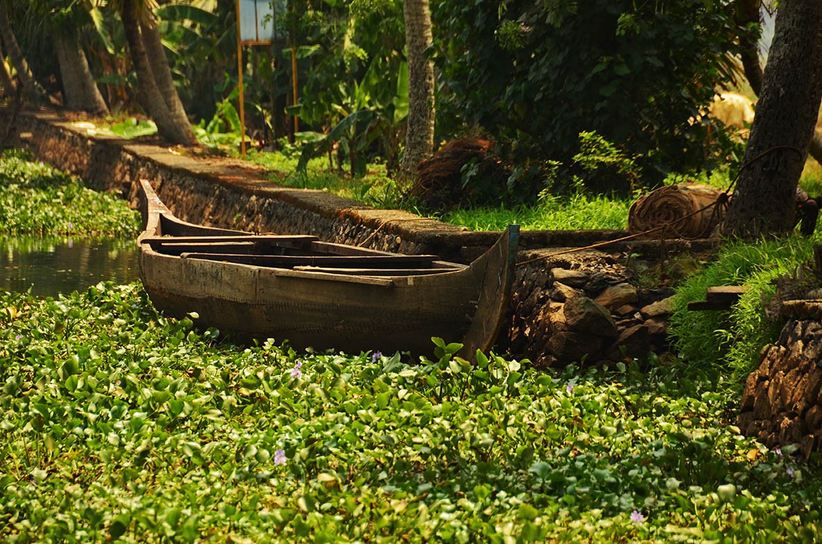 The preferred means of transport in the backwaters