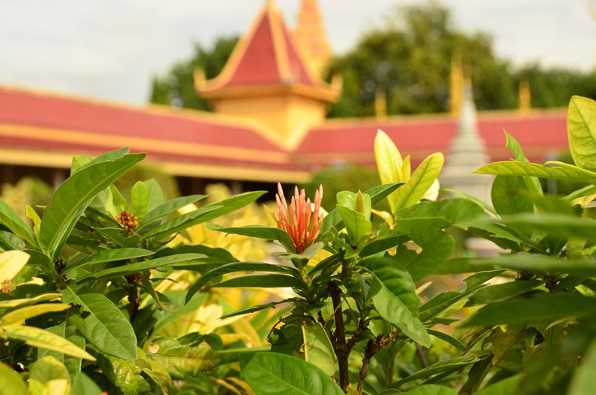 Royal Palace, Phnom Penh