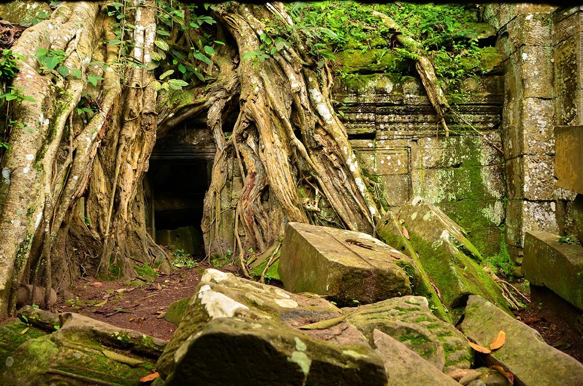 Ta Prohm