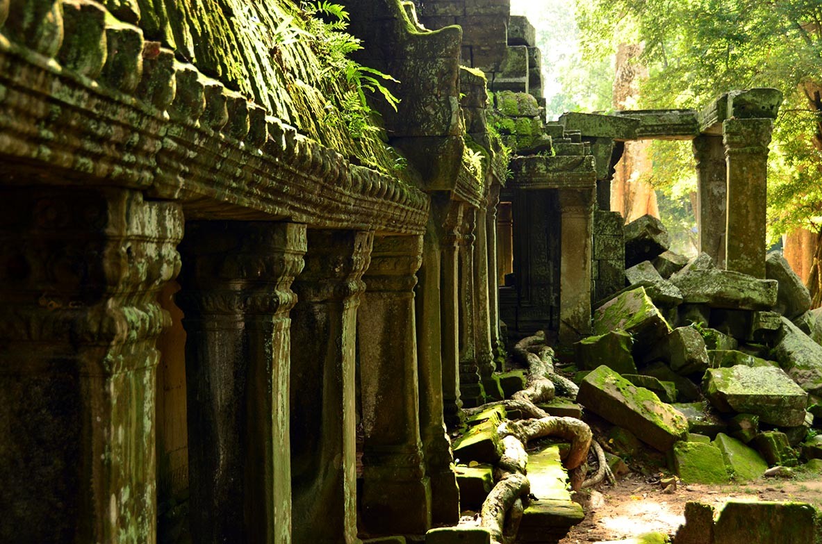 Ruins captured by the jungle