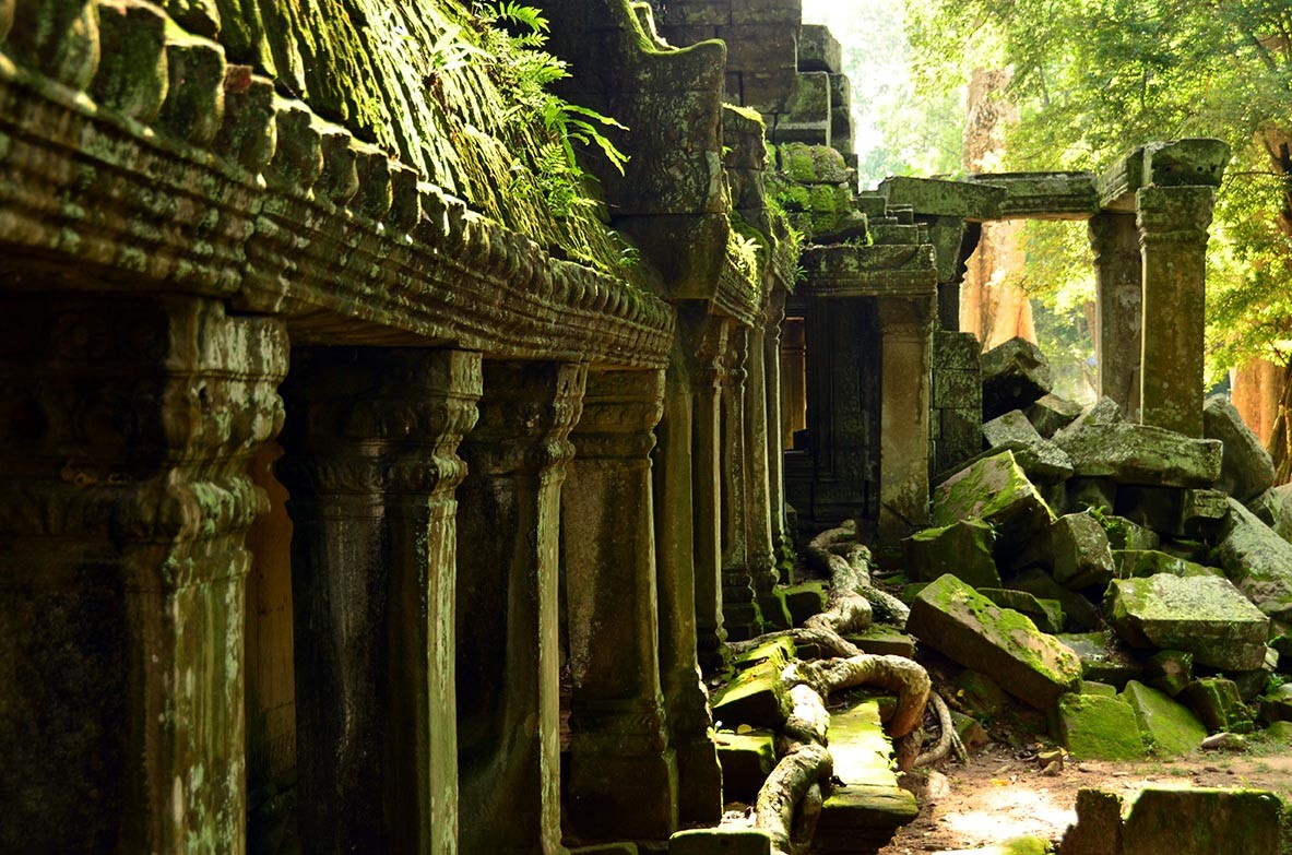 Ruins captured by the jungle 