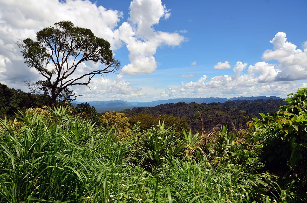 Mountains in the North of Laos