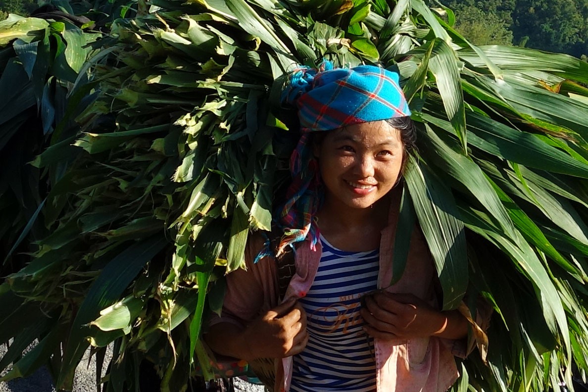 Girl in the North of Vietnam