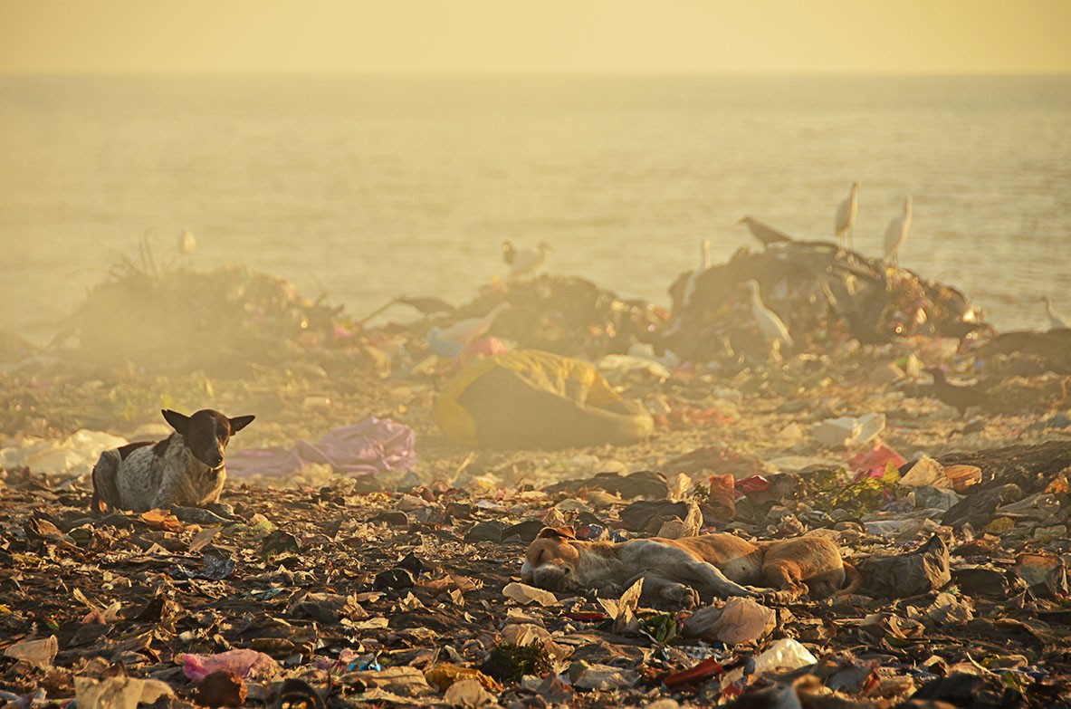 WASTE! It's a huge problem in India