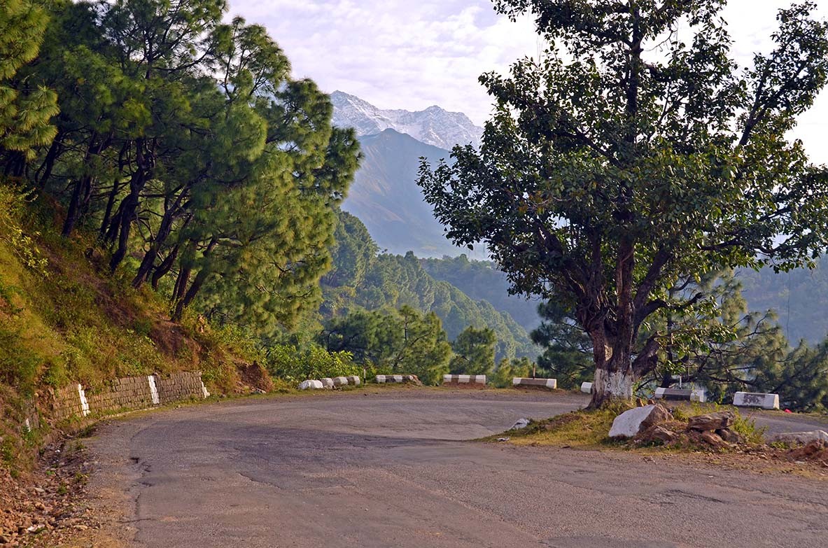 From Dharamshala to Shimla