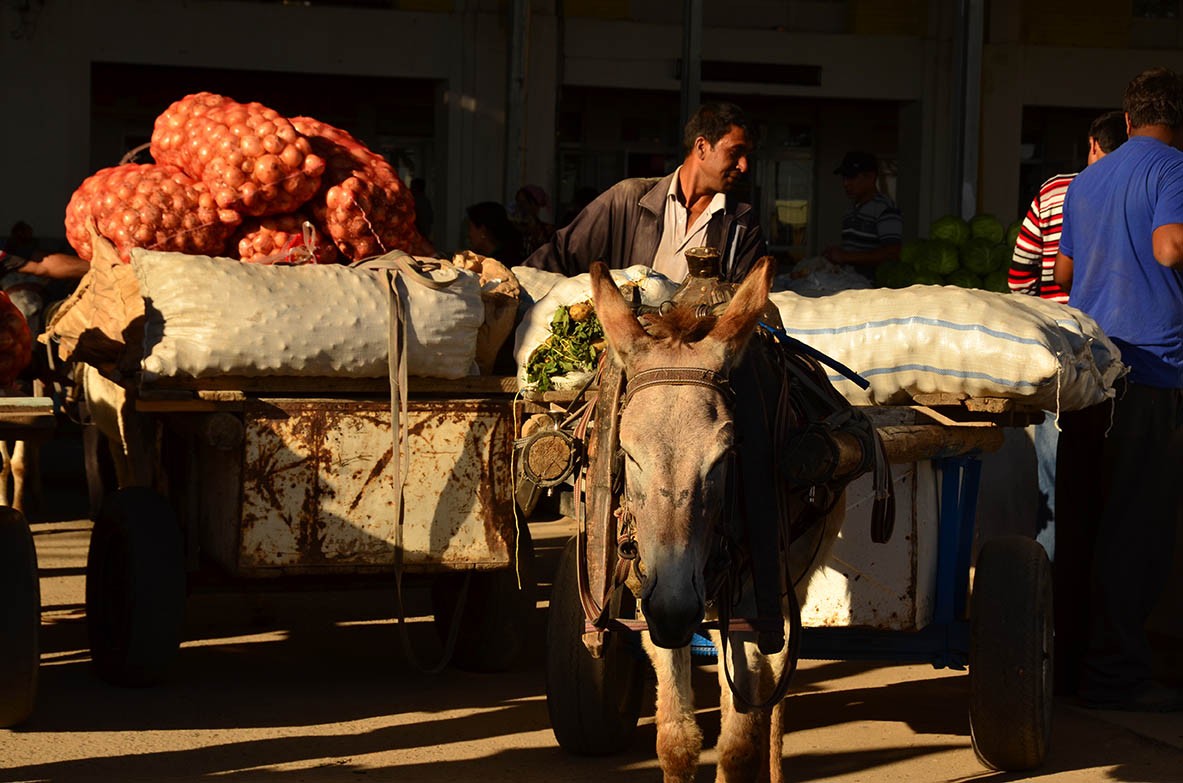 Siob Bazaar