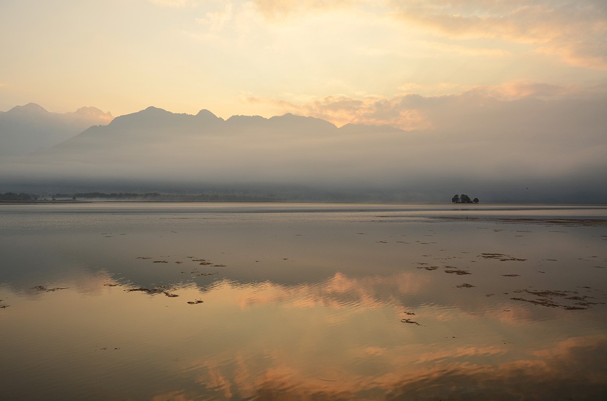 Dal Lake - Srinagar