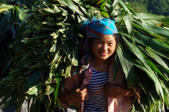Girl in the North of Vietnam